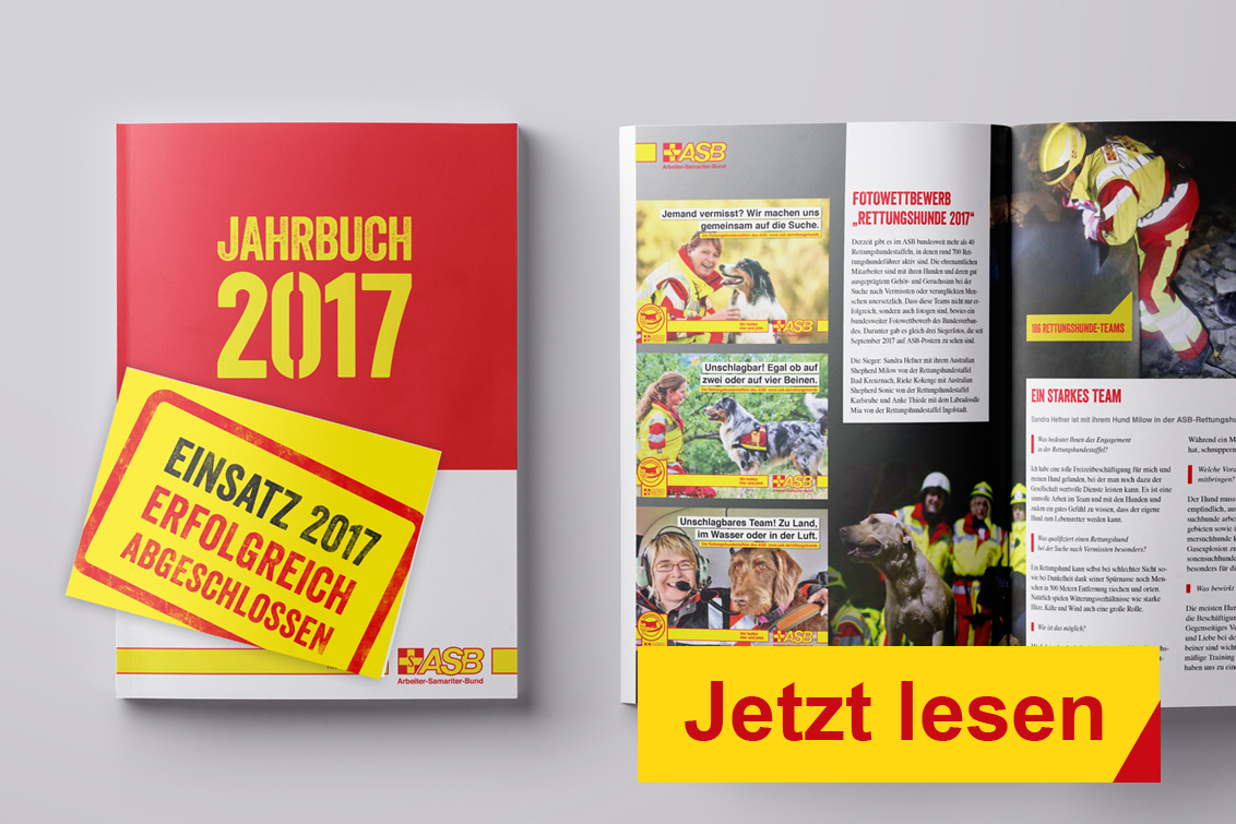 Jahrbuch2017.jpg