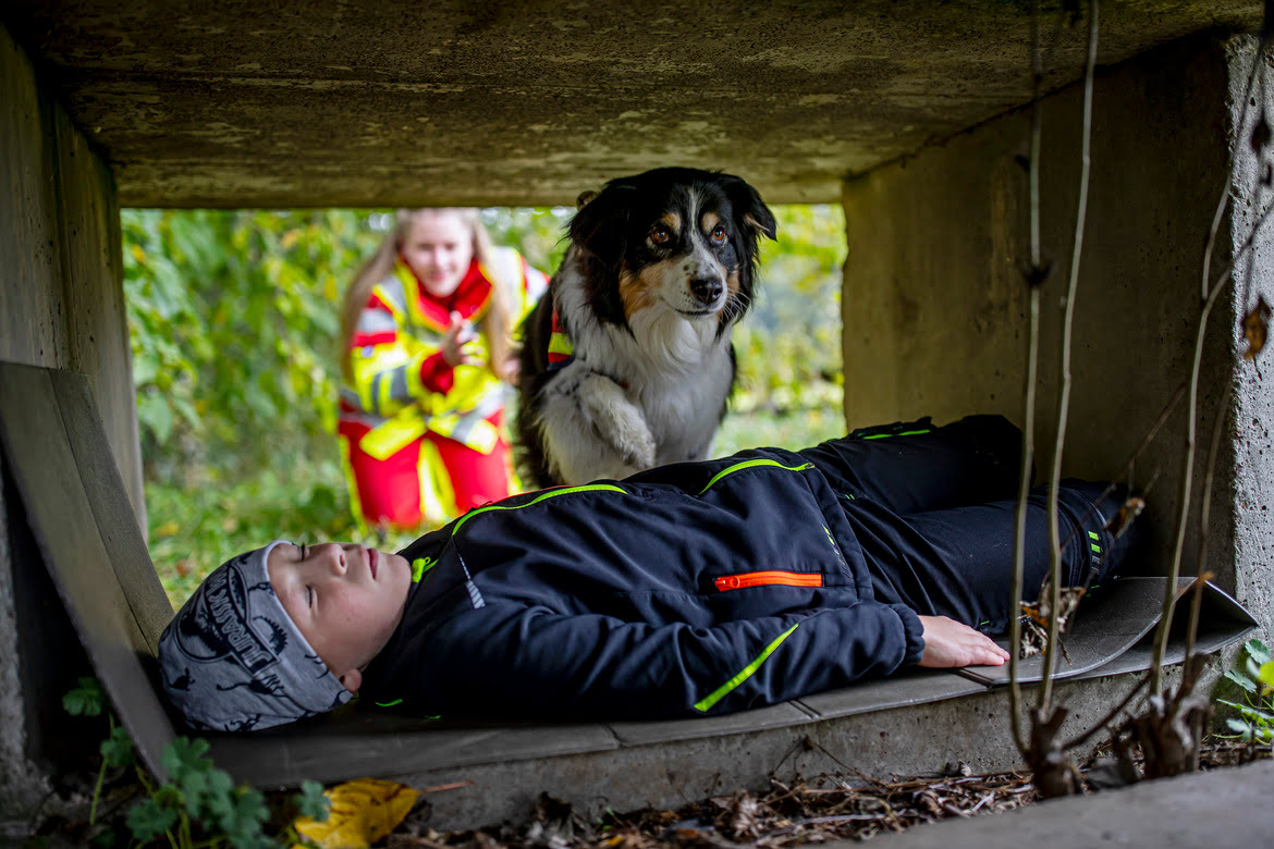 rettungshunde1.jpg