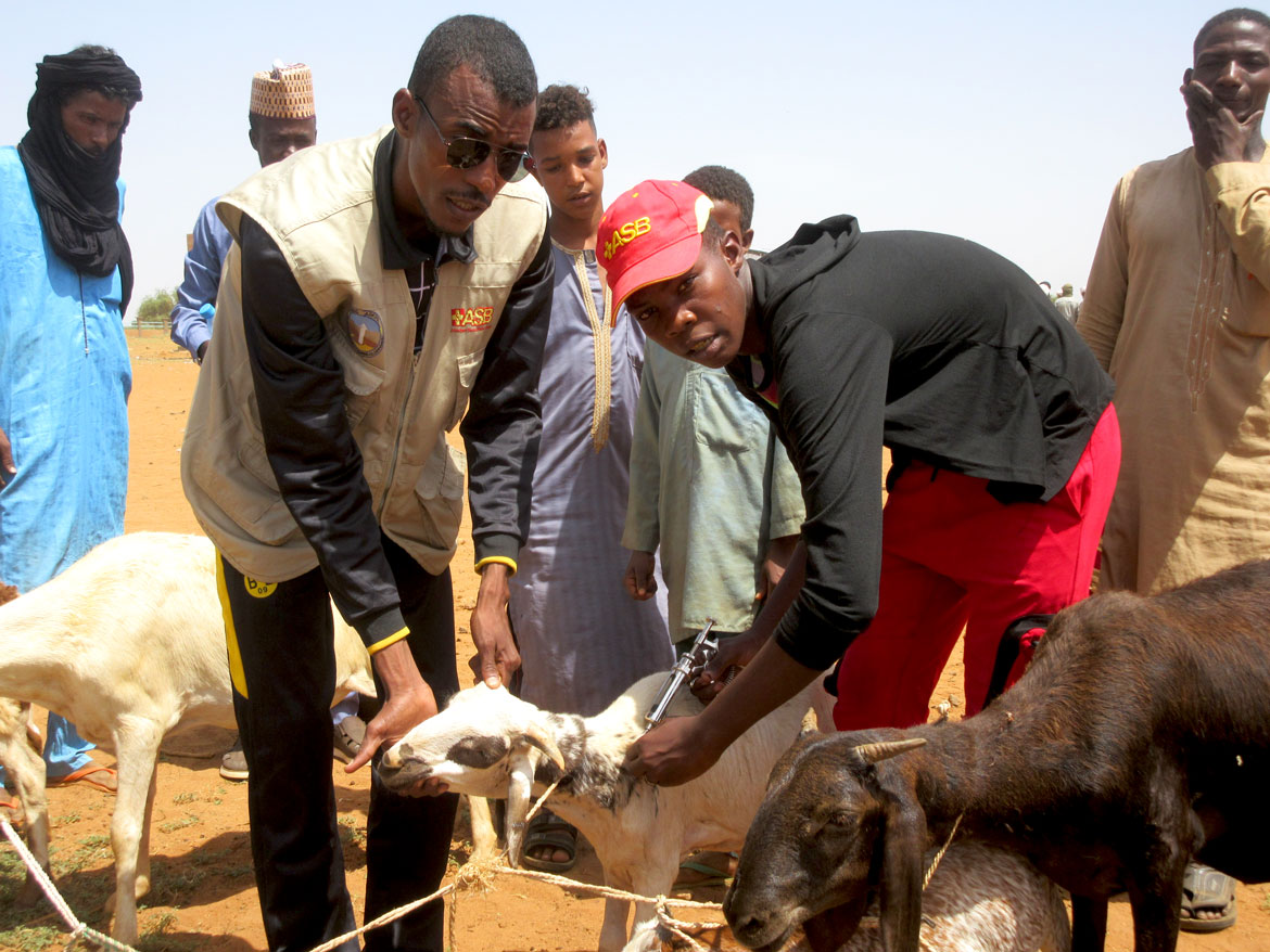 Niger_1.jpg