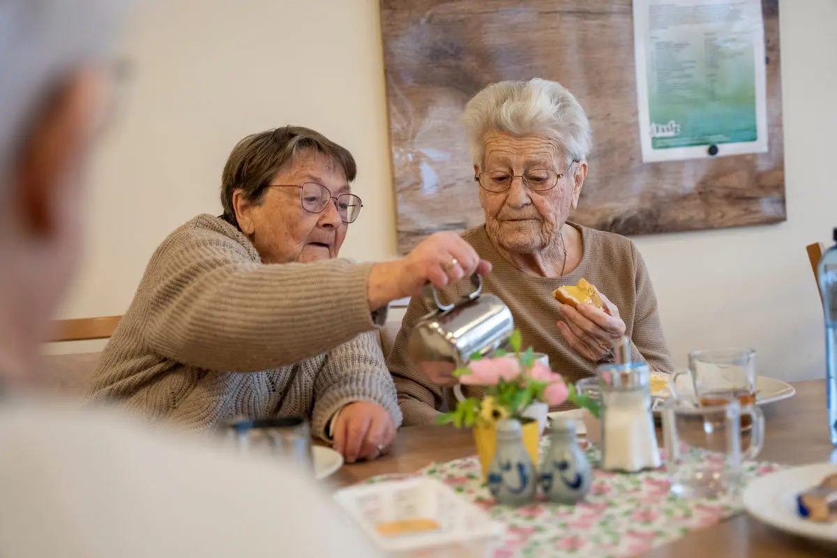 Pflegeversicherung und Sozialstaat in der Reformkrise