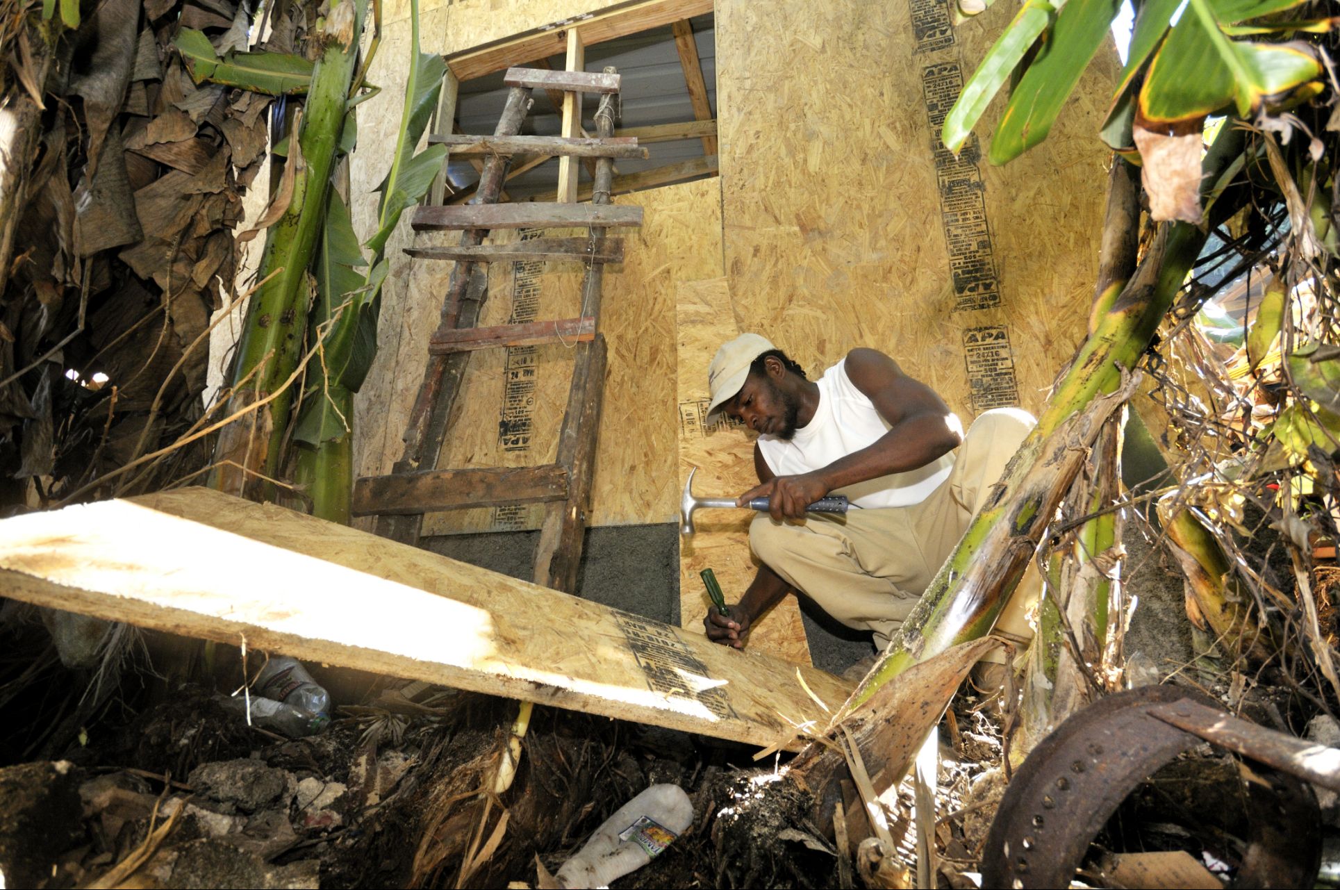 Rückkehr und Wiedereingliederung, Haiti