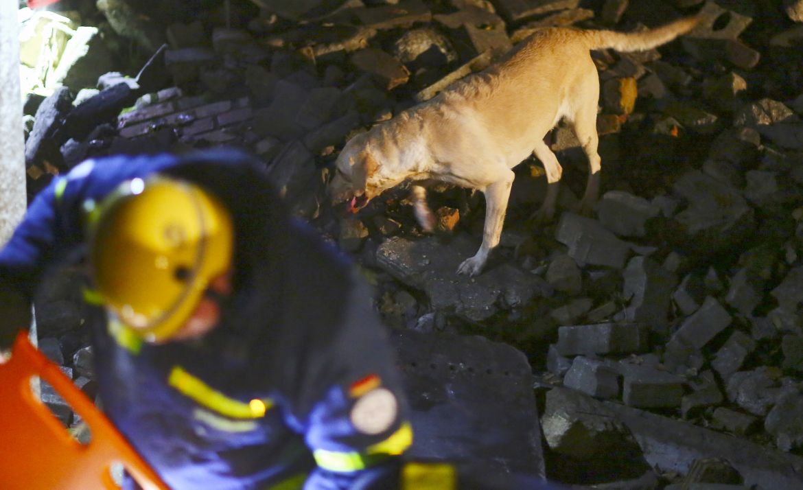 ASB Rettungshunde Berlin Übung Einsatz Hunde (2).jpg