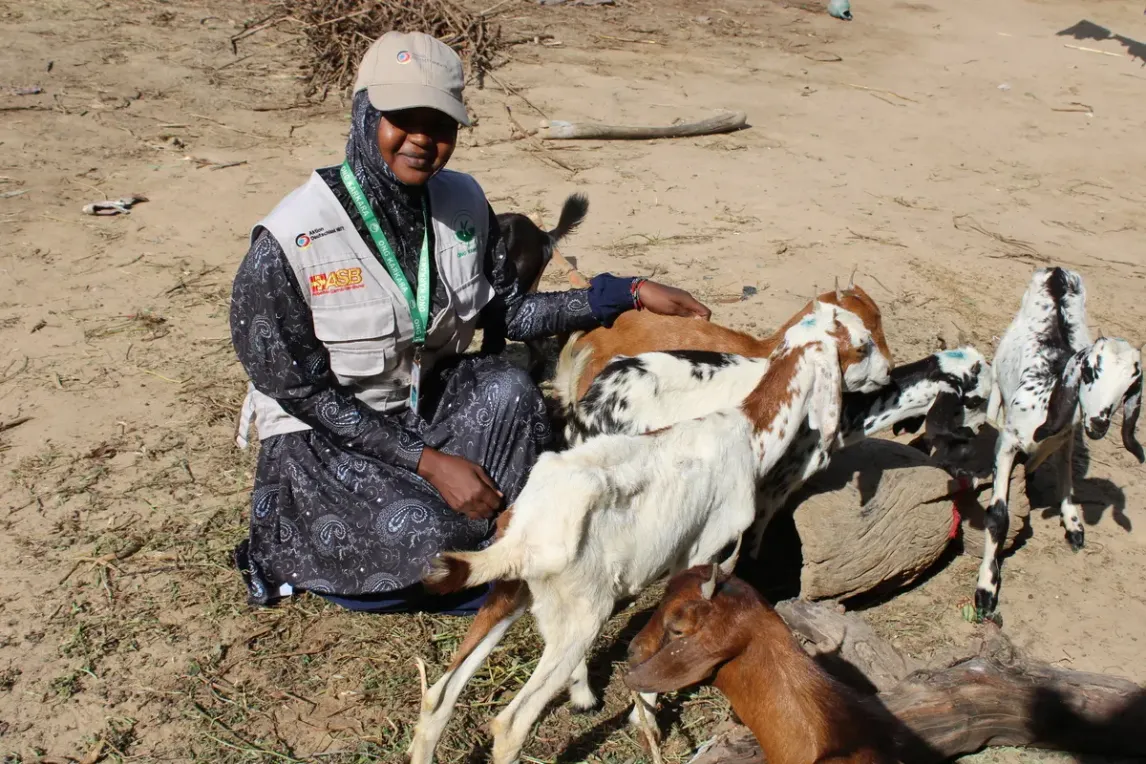 Projektmitarbeitende bei der Verteilung von Ziegen in Tahoua.webp