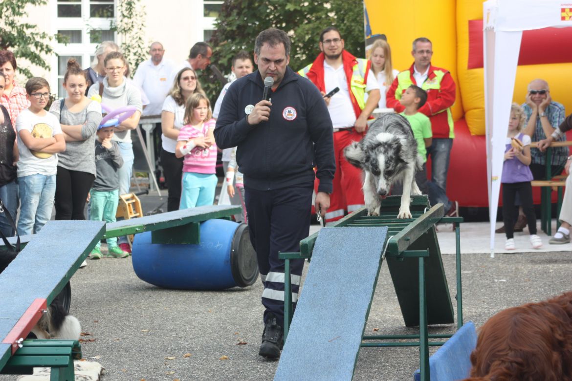 141028-tag-der-offenen-tuer-pirmasens-rettungshunde.jpg