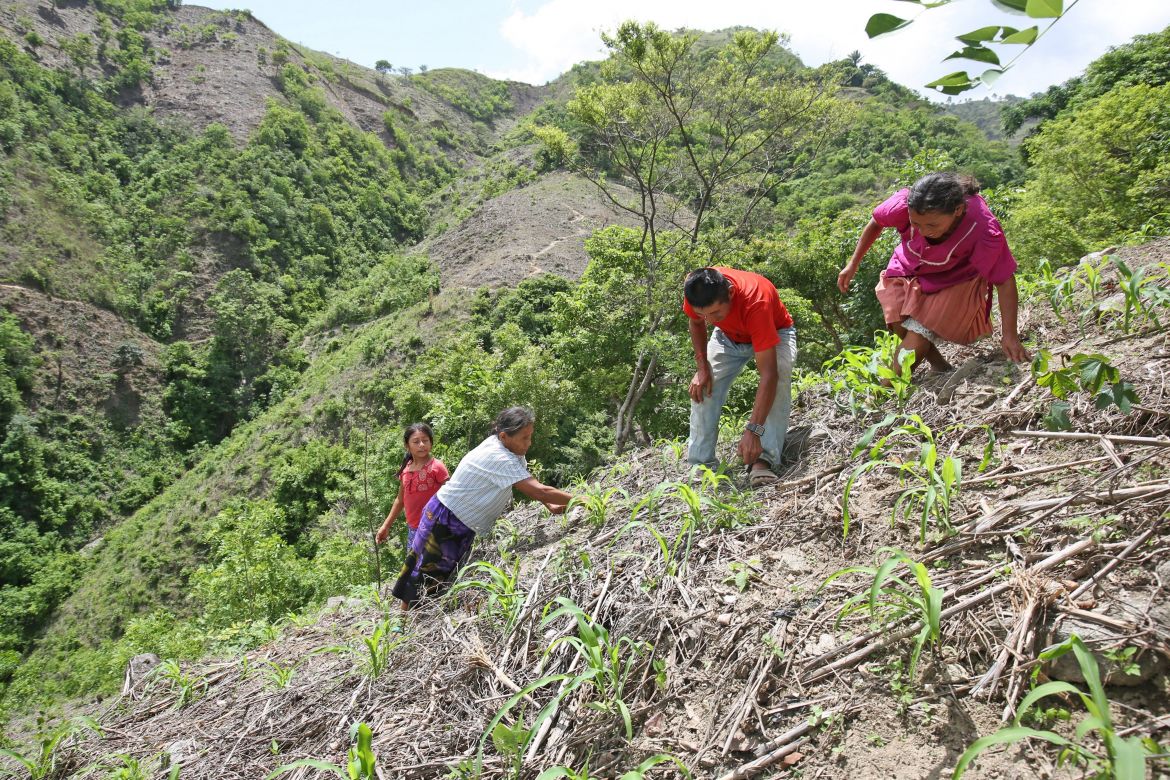 Maisanbau an steilen Hängen in Guatemala