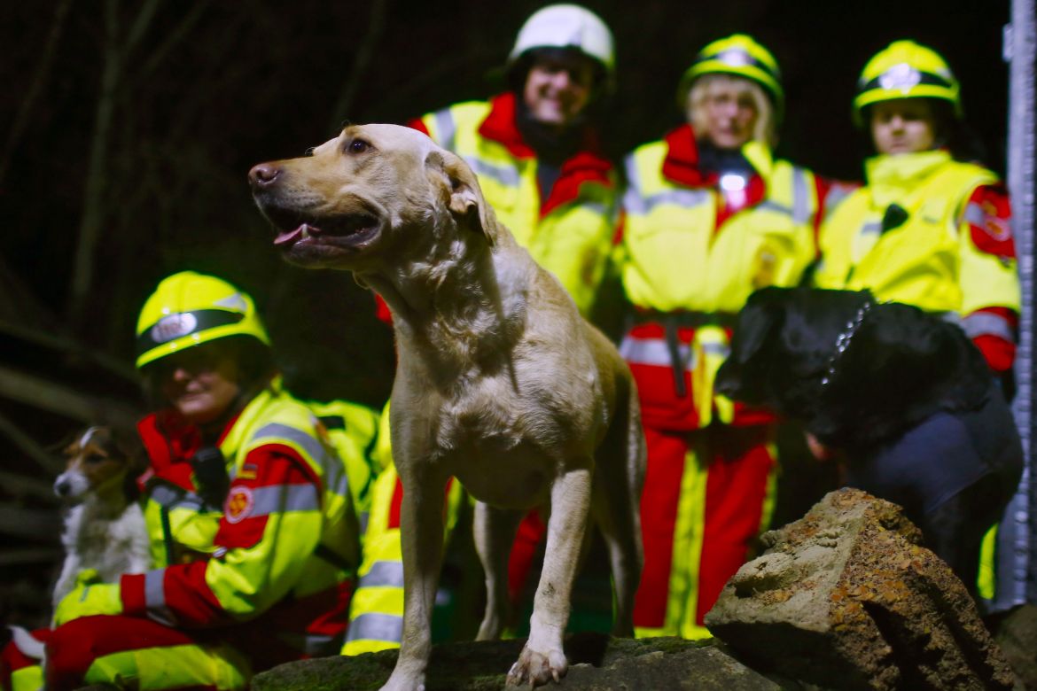 Rettungshundeteams des ASB bei einer Übung