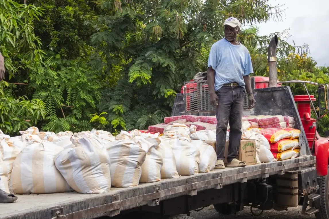Distribution of food kits in Châ.webp