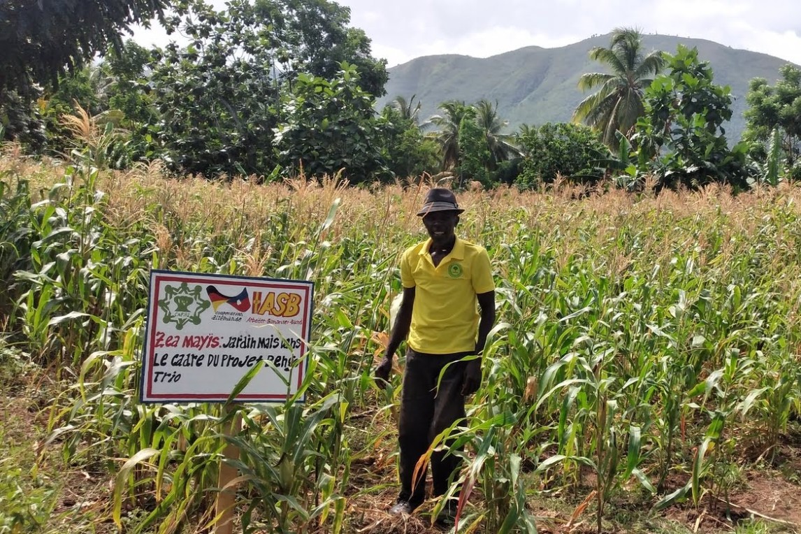 Haiti-Ernährungssicherheit-4.jpg