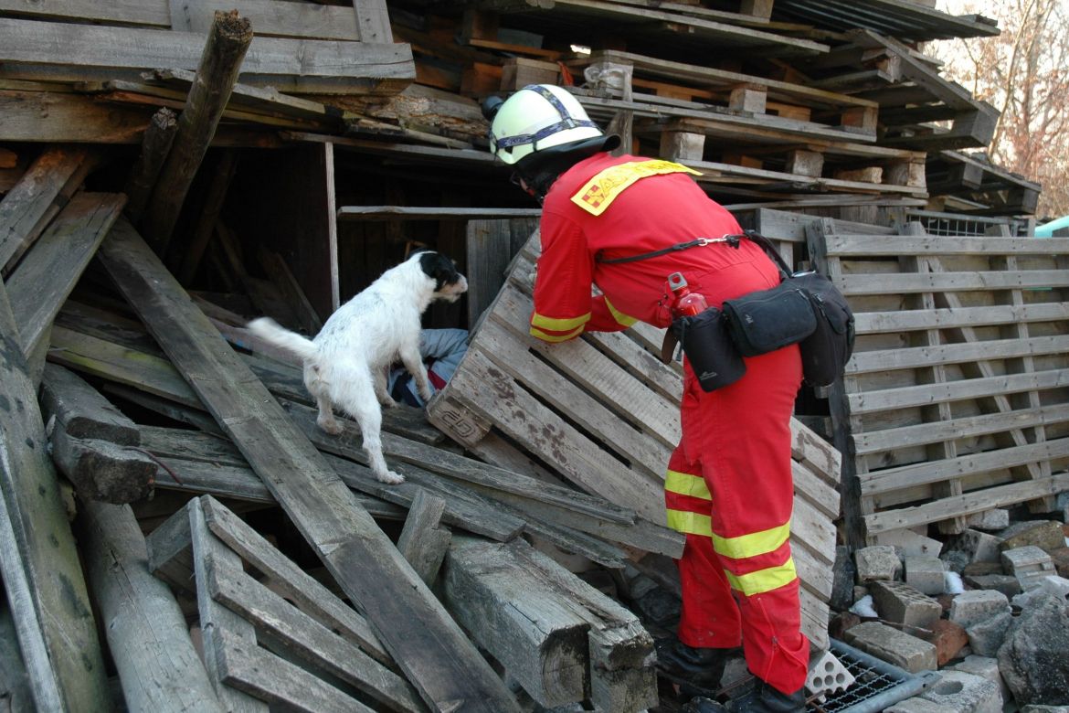 Rettungshund findet verschüttete Person