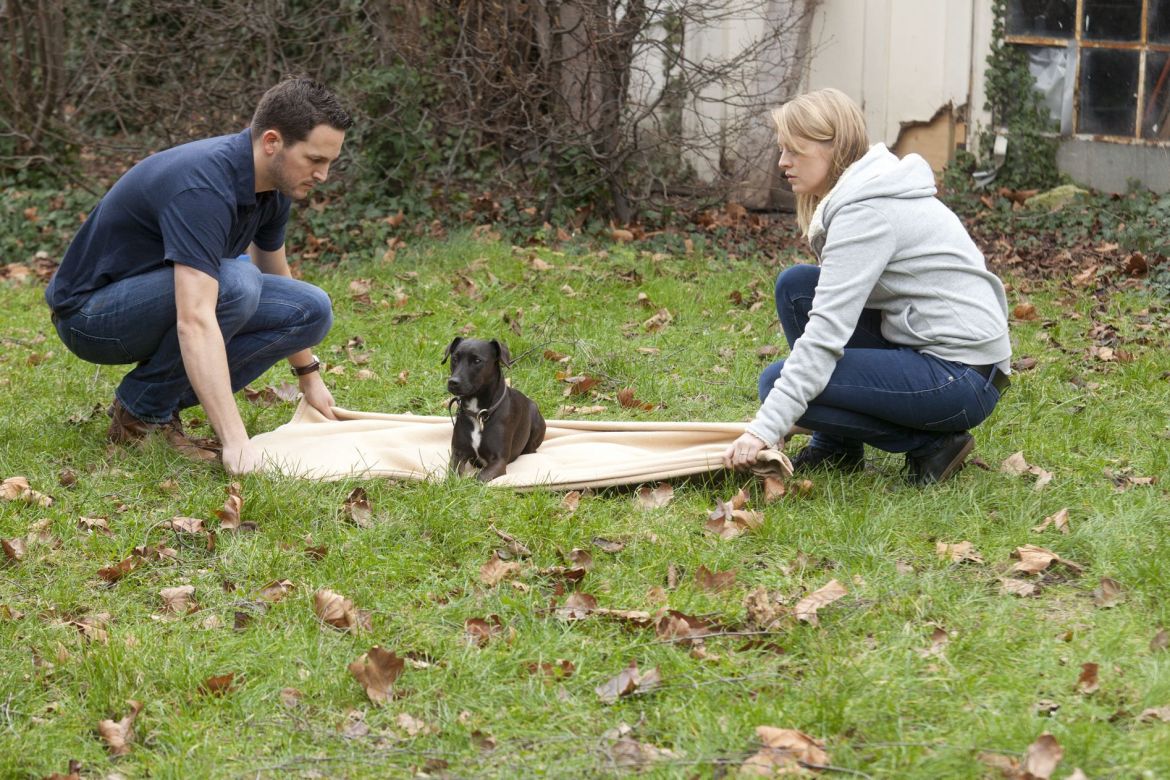 Erste Hilfe am Hund, Transport Decke