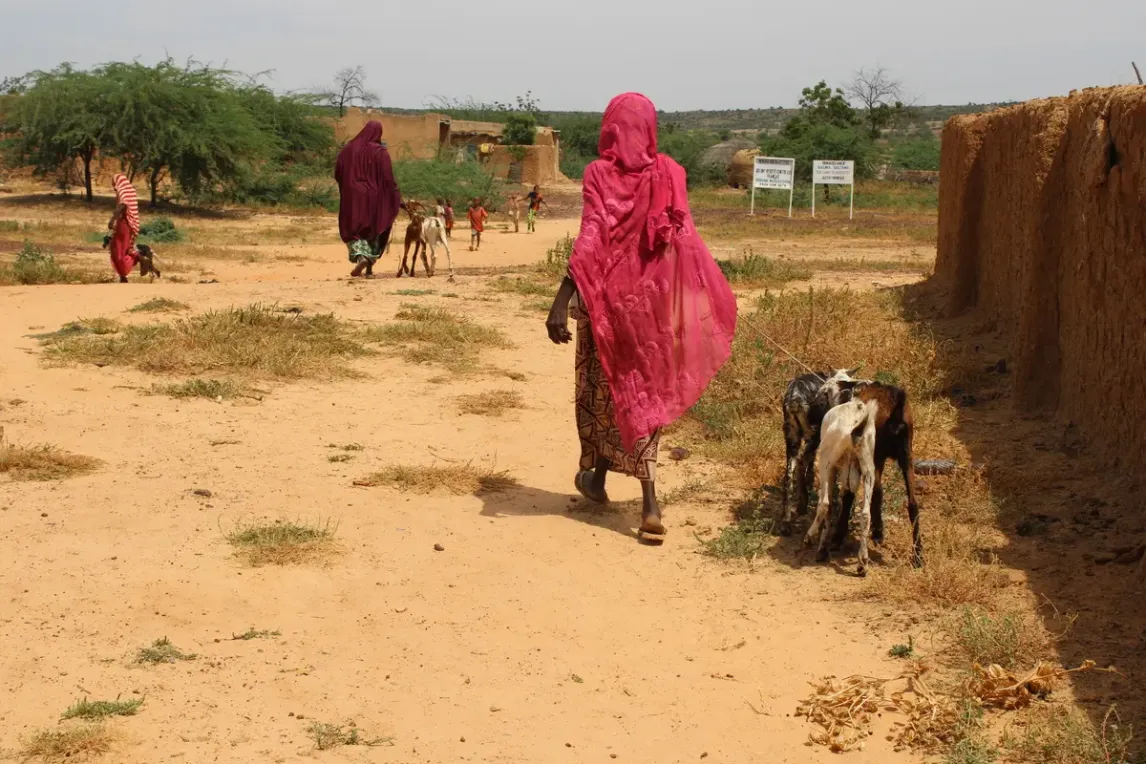 Vierverteilung für Frauen- und Senioreninitiativen zur Unterstützung bei Kleintierhaltung 3.webp